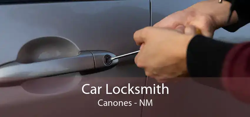 Car Locksmith Canones - NM