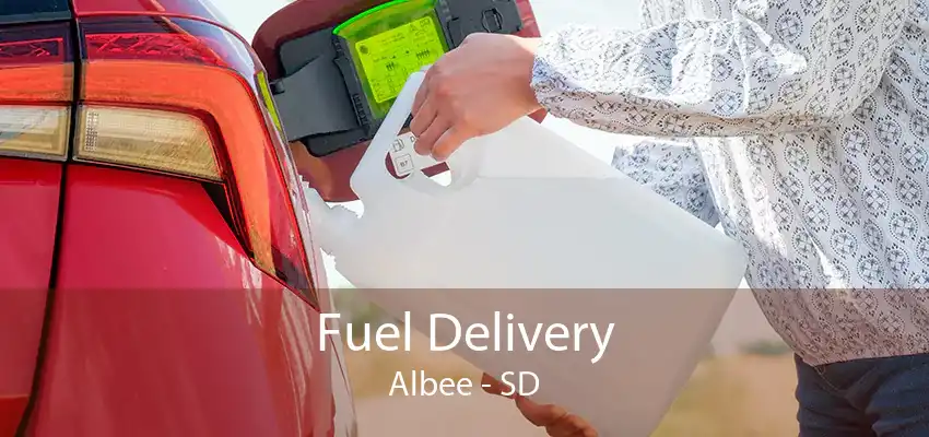 Fuel Delivery Albee - SD