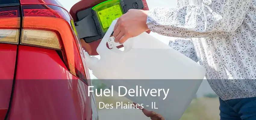 Fuel Delivery Des Plaines - IL