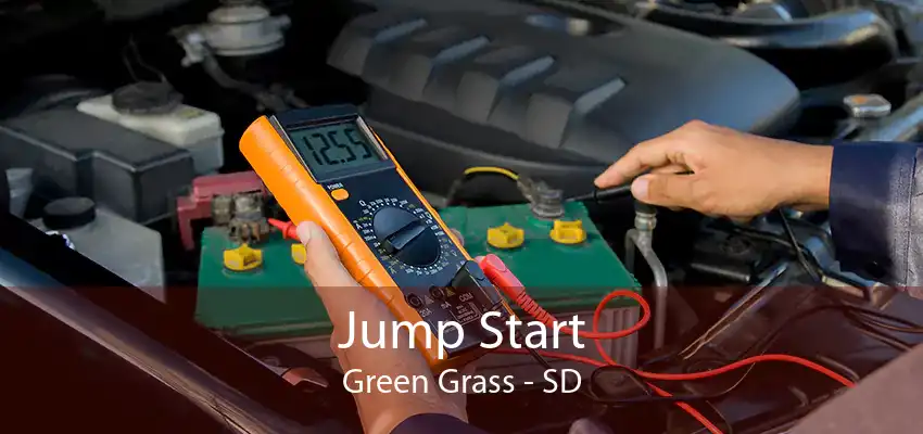 Jump Start Green Grass - SD