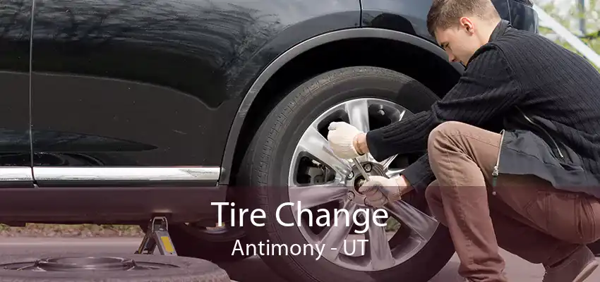 Tire Change Antimony - UT