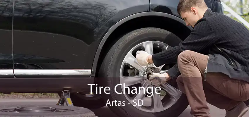 Tire Change Artas - SD