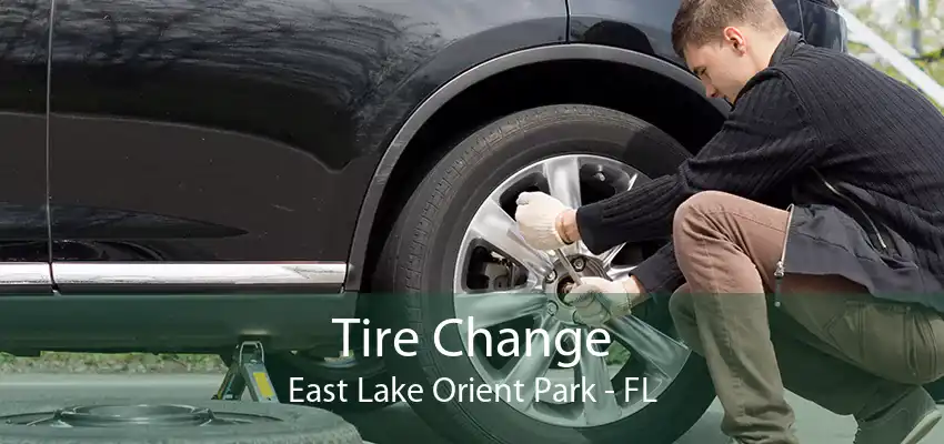 Tire Change East Lake Orient Park - FL