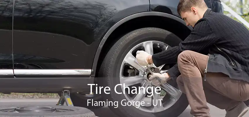 Tire Change Flaming Gorge - UT