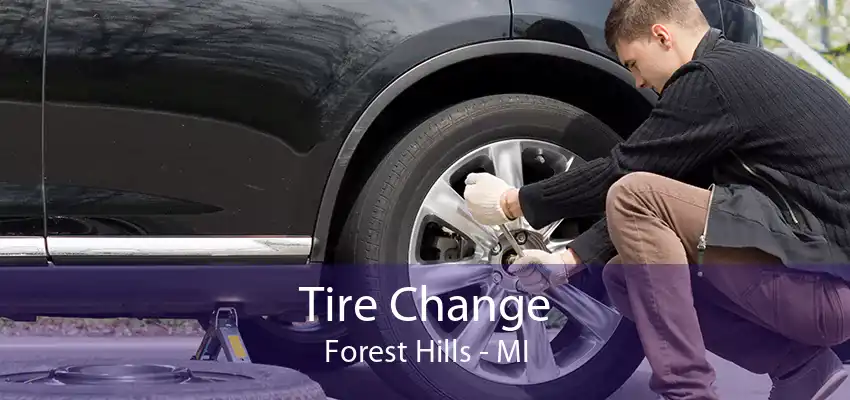 Tire Change Forest Hills - MI