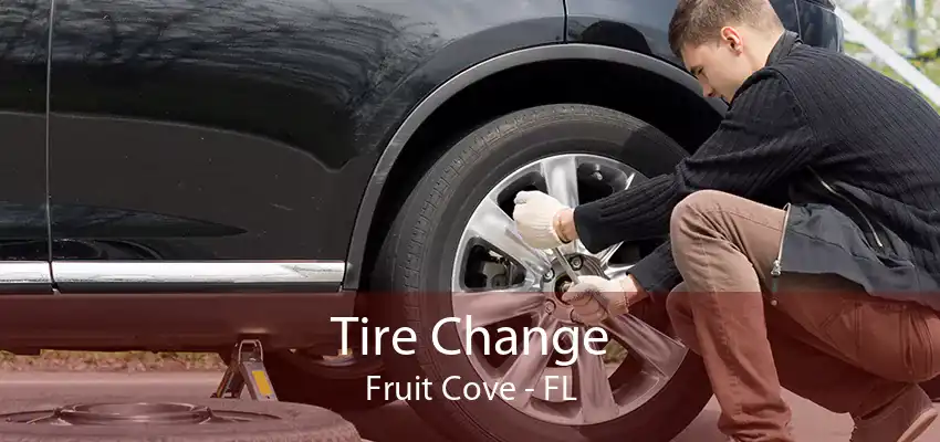 Tire Change Fruit Cove - FL