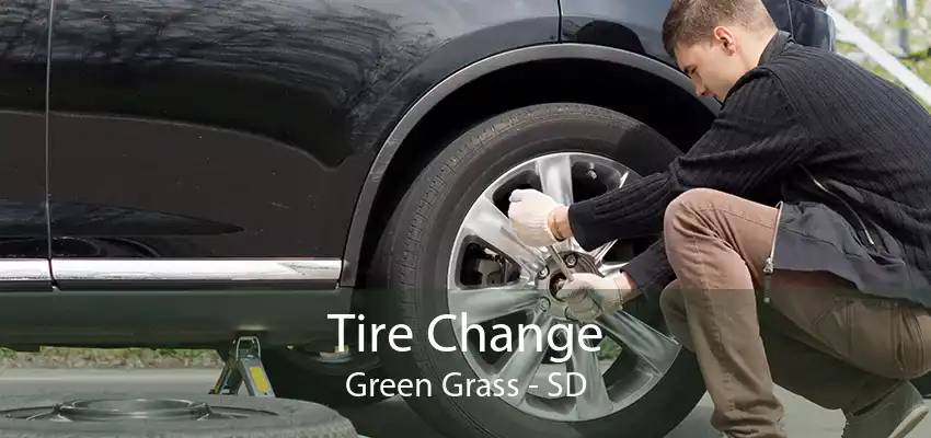 Tire Change Green Grass - SD