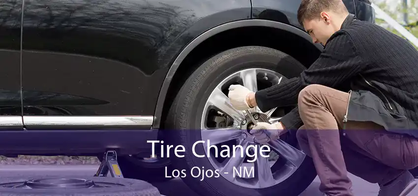 Tire Change Los Ojos - NM
