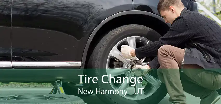 Tire Change New Harmony - UT