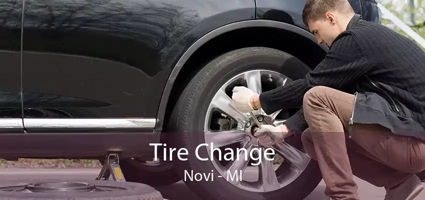 Tire Change Novi - MI