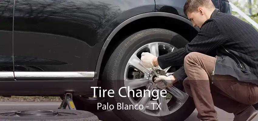 Tire Change Palo Blanco - TX
