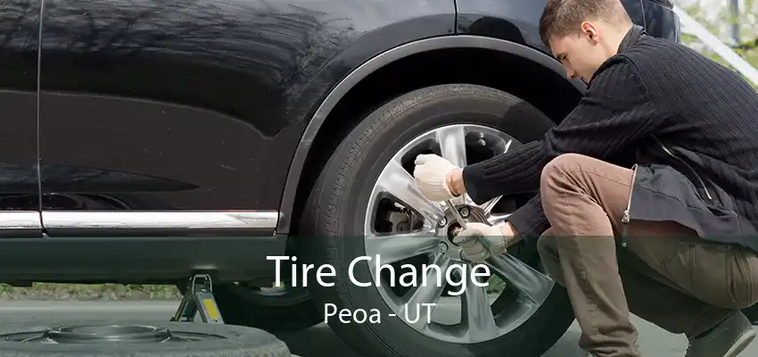 Tire Change Peoa - UT