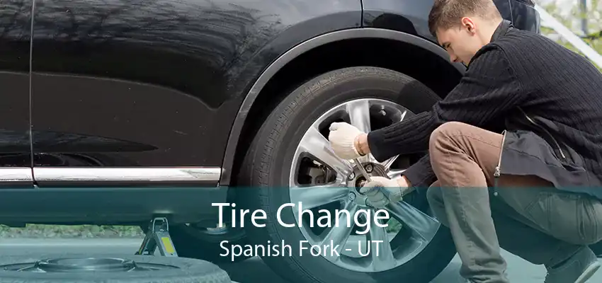 Tire Change Spanish Fork - UT