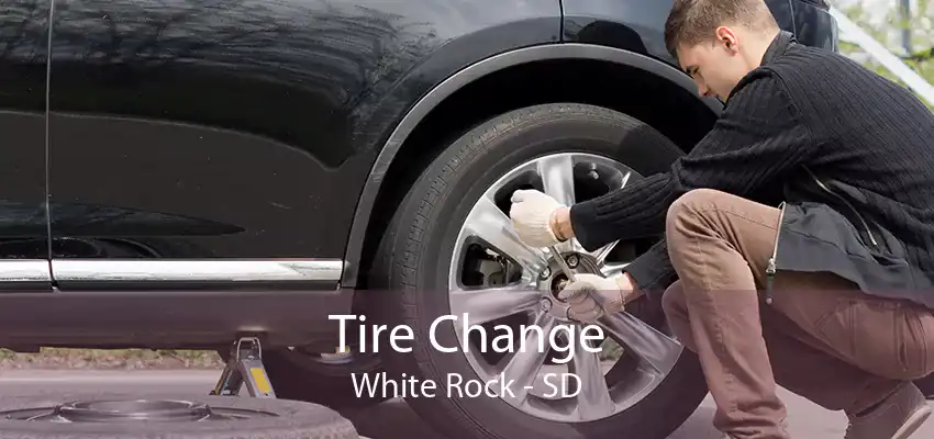 Tire Change White Rock - SD