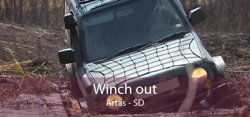 Winch out Artas - SD