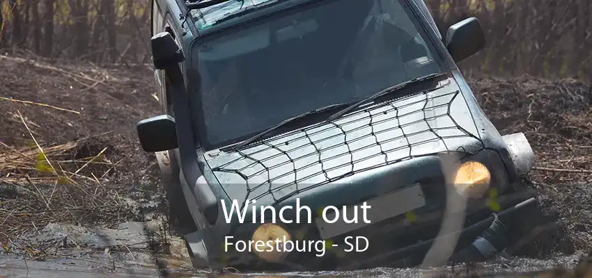 Winch out Forestburg - SD