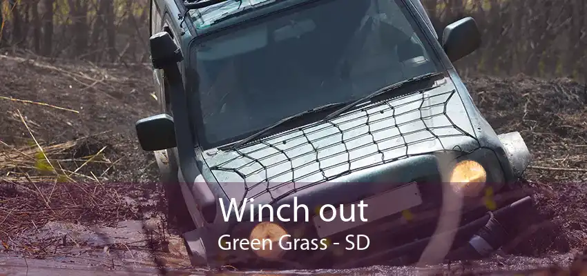 Winch out Green Grass - SD