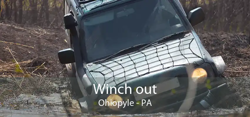 Winch out Ohiopyle - PA